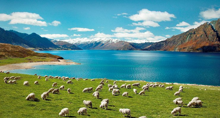 Image result for New Zealand
