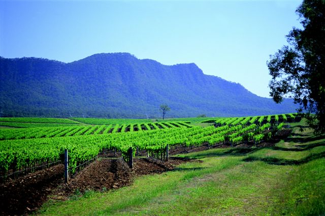 wineries in australia