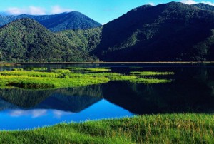 new-zealand