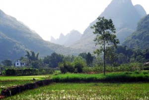 Travel to Guilin Rice Terrace