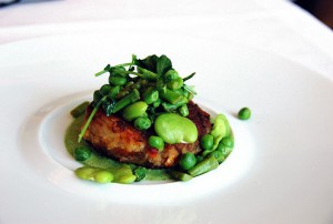 Miami Food