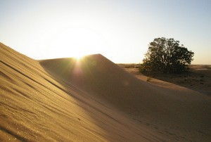 Perry Sandhills