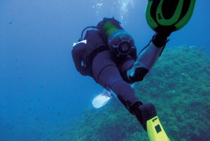 Malta underwater safari