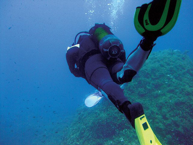 Malta underwater safari
