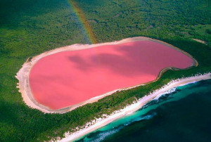 Pink Lake Hillier