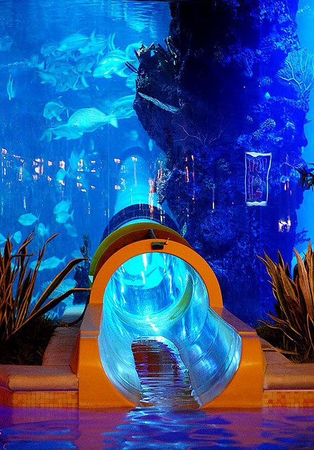 Водная горка через аквариум, Golden Nugget отель в Лас-Вегасе.