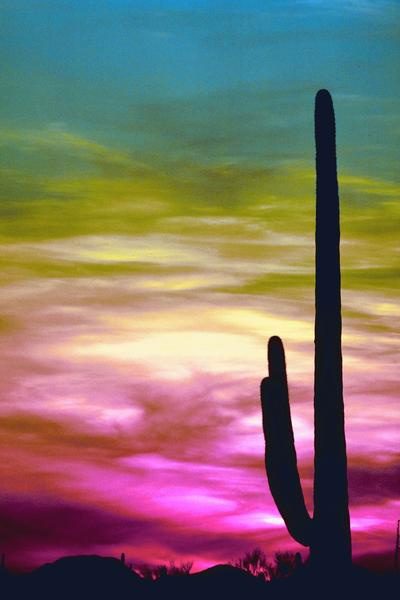 Sunset in Arizona