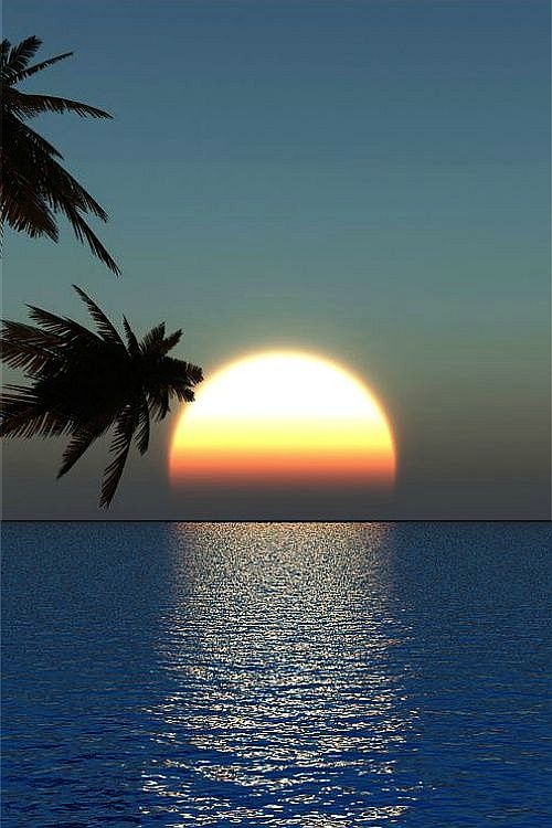 Sunset in the Tropics ~ Florida