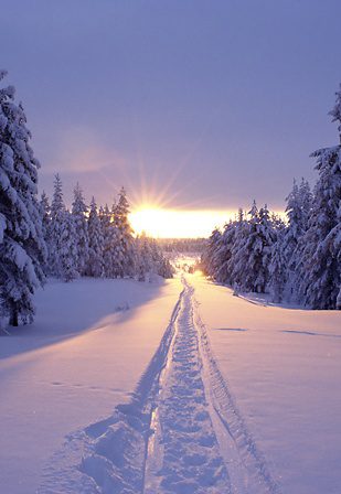 Tracks in the snow at sunset in Solberget, Lapland, northern Sweden