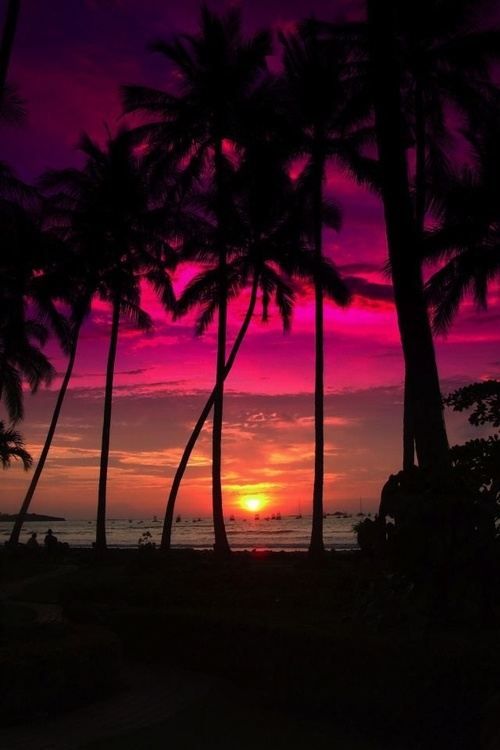 Tropical Sunset in Costa Rica