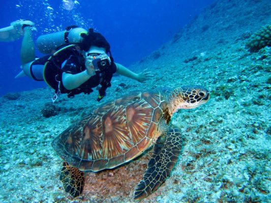 Best dive places on earth