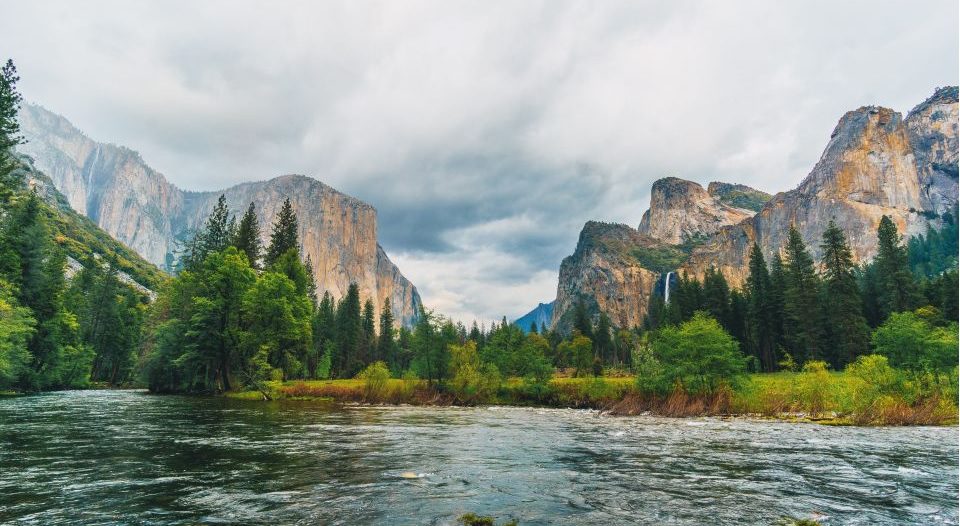 Best Yosemite Park Tours