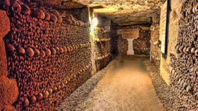 Best Paris Catacombs Tours