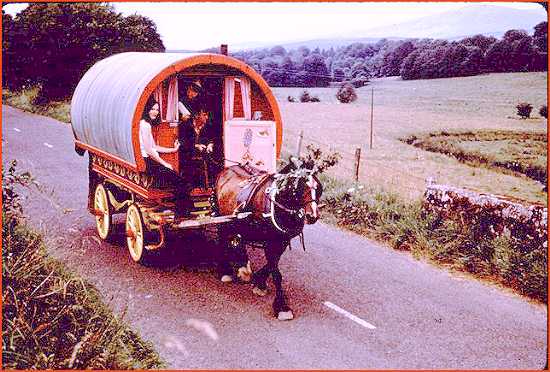 Irish Travellers