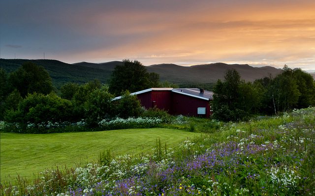 Evening light in Härjedalen, a county in middle-Sweden.