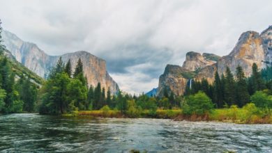 Best Yosemite Park Tours