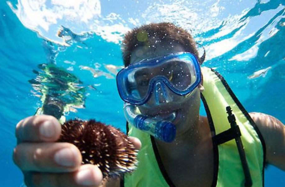 Oahu: 3-Hour Waikiki Snorkel & Sailing Adventure with Lunch