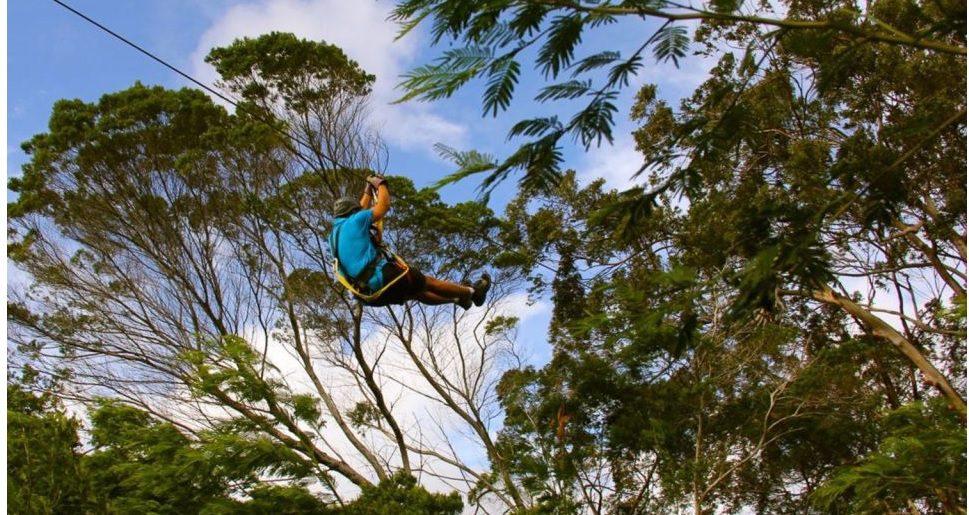 best ziplining in maui